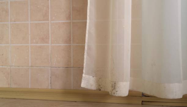 Best Mold Remediation for Healthcare Facilities  in Brilliant, AL