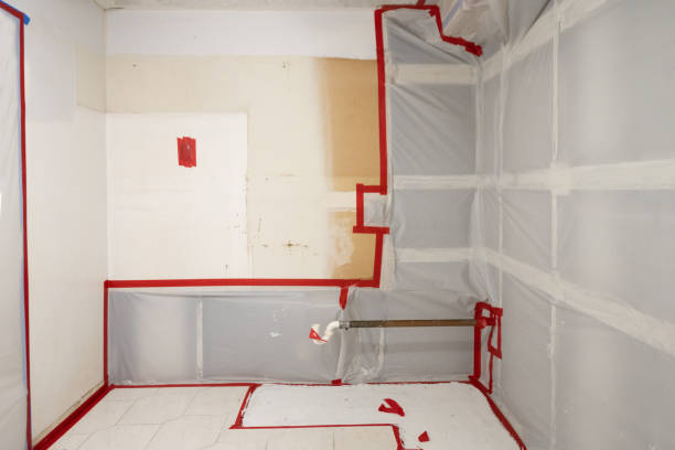 Best Mold Documentation for Insurance Claims  in Brilliant, AL